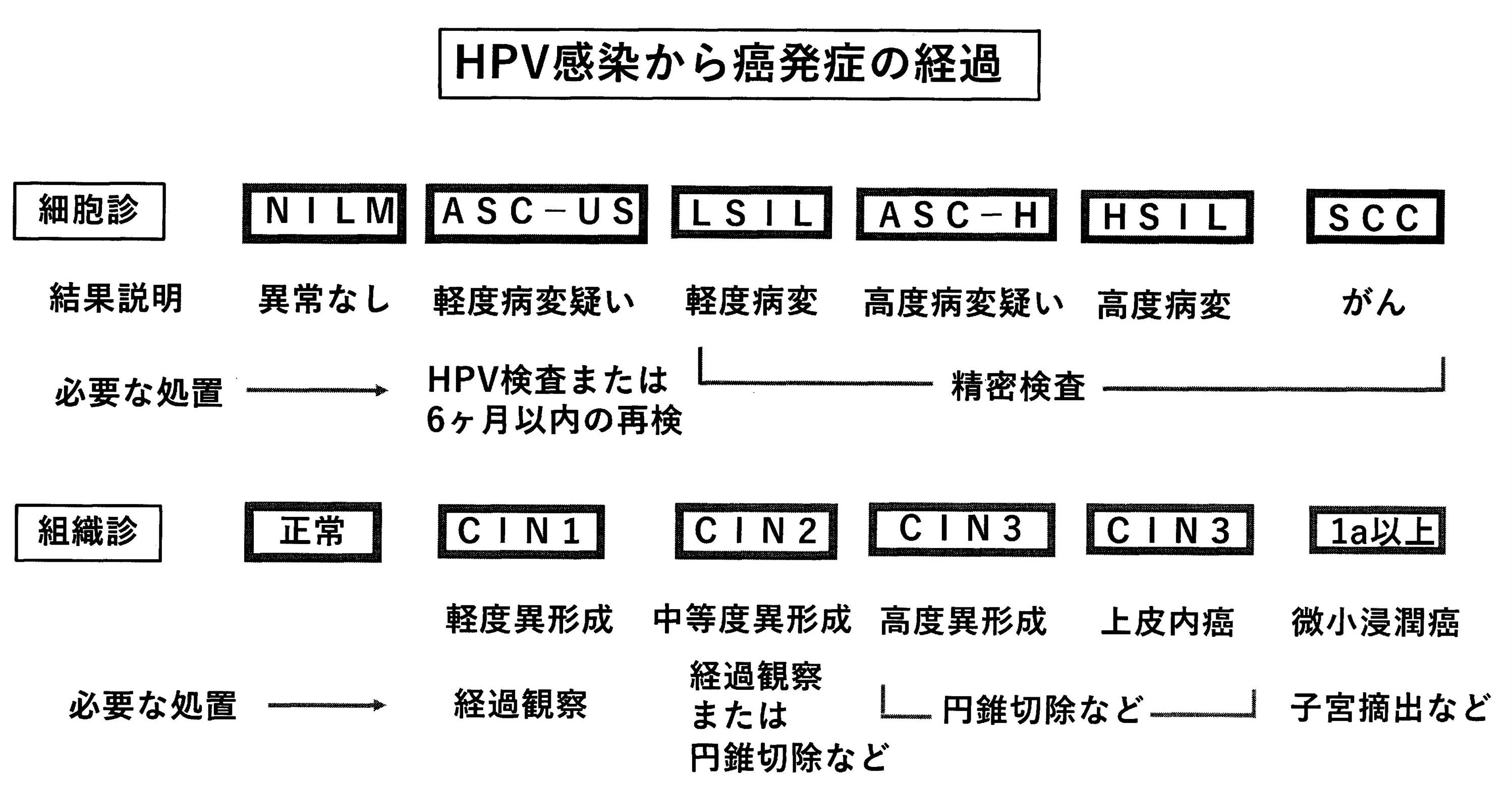 がん検診結果
